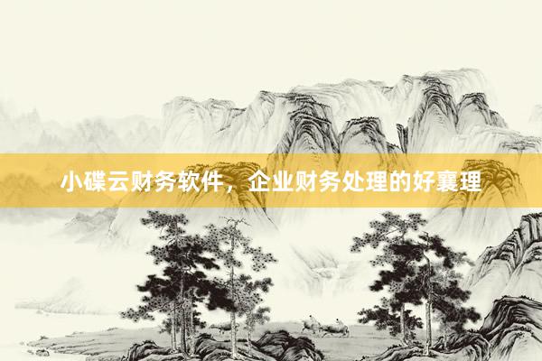 小碟云财务软件，企业财务处理的好襄理
