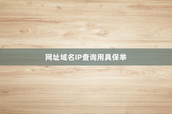 网址域名IP查询用具保举