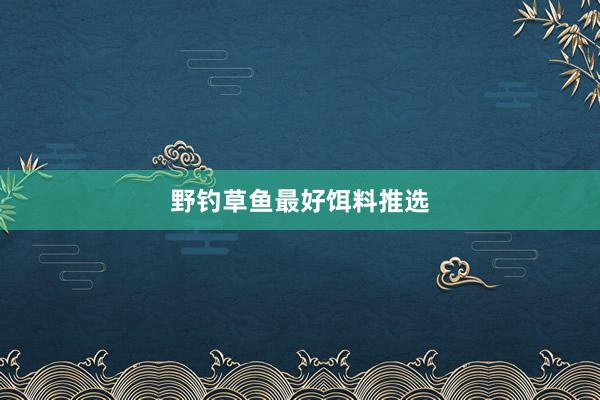 野钓草鱼最好饵料推选